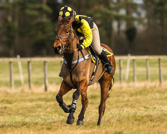 Kimblewick Easter Meeting 2017