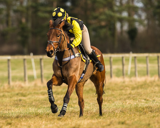 Kimblewick Easter Meeting 2017