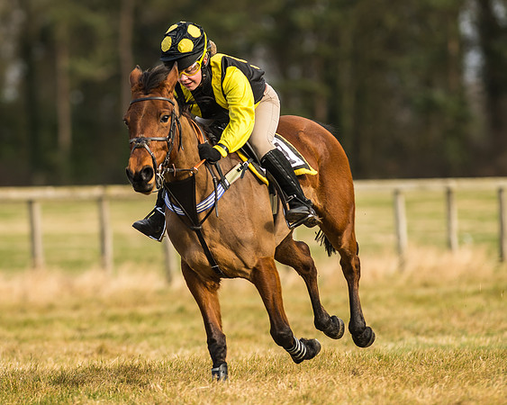 Kimblewick Easter Meeting 2017