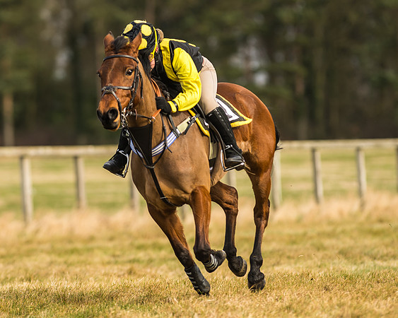 Kimblewick Easter Meeting 2017