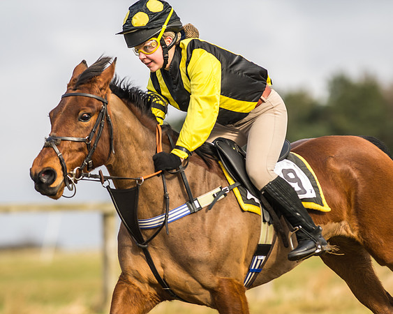 Kimblewick Easter Meeting 2017