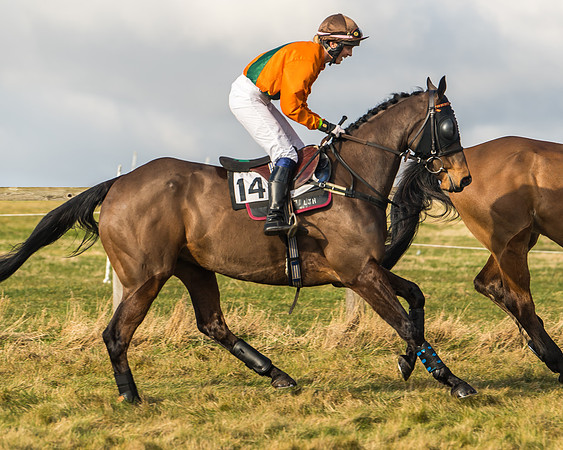 Cambridgeshire Hunt with Enfield Chace