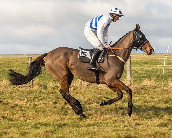 Cambridgeshire Hunt with Enfield Chace