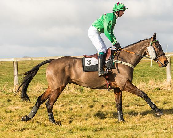 Cambridgeshire Hunt with Enfield Chace