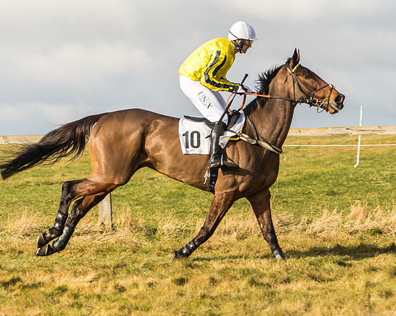 Cambridgeshire Hunt with Enfield Chace