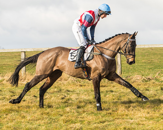 Cambridgeshire Hunt with Enfield Chace