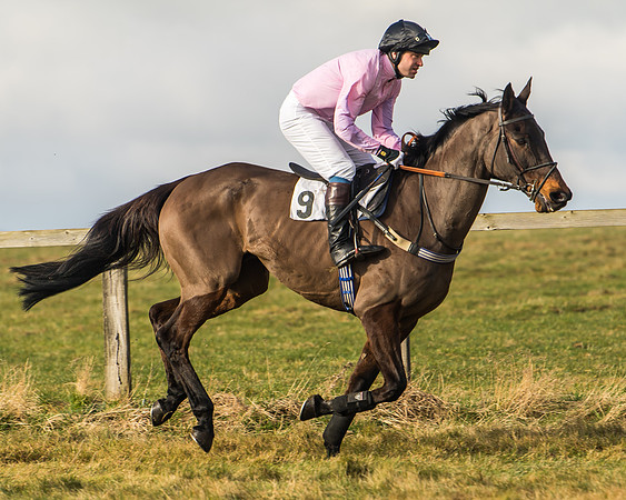 Cambridgeshire Hunt with Enfield Chace