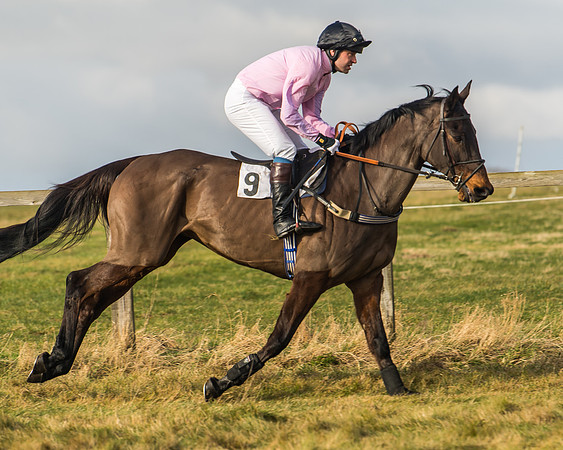 Cambridgeshire Hunt with Enfield Chace