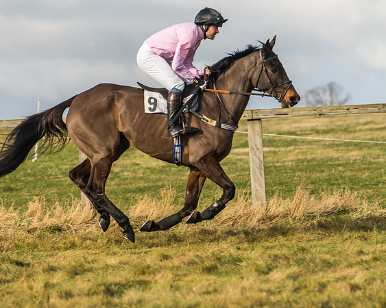 Cambridgeshire Hunt with Enfield Chace