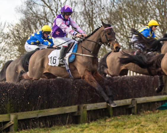 Cambridgeshire Hunt with Enfield Chace