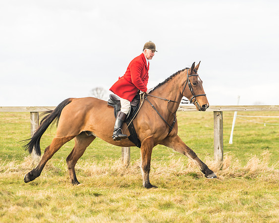 Cambridgeshire Hunt with Enfield Chace