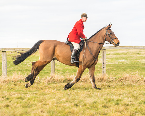 Cambridgeshire Hunt with Enfield Chace
