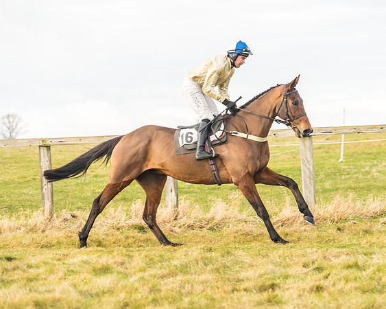 Cambridgeshire Hunt with Enfield Chace