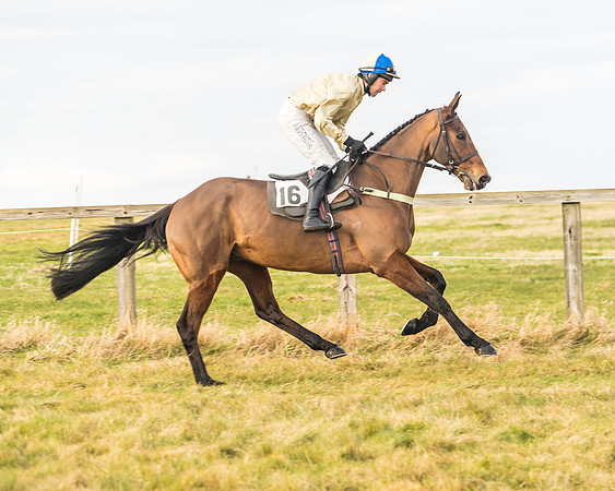 Cambridgeshire Hunt with Enfield Chace