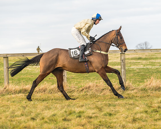 Cambridgeshire Hunt with Enfield Chace