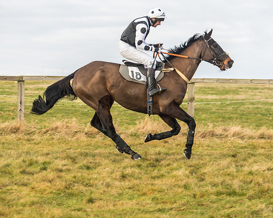 Cambridgeshire Hunt with Enfield Chace