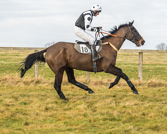 Cambridgeshire Hunt with Enfield Chace