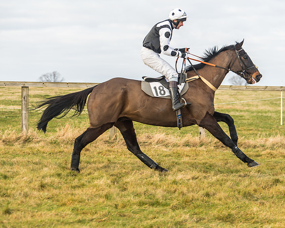 Cambridgeshire Hunt with Enfield Chace