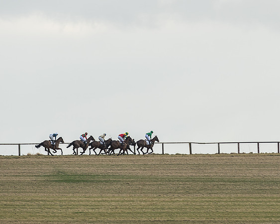 Cambridgeshire Hunt with Enfield Chace