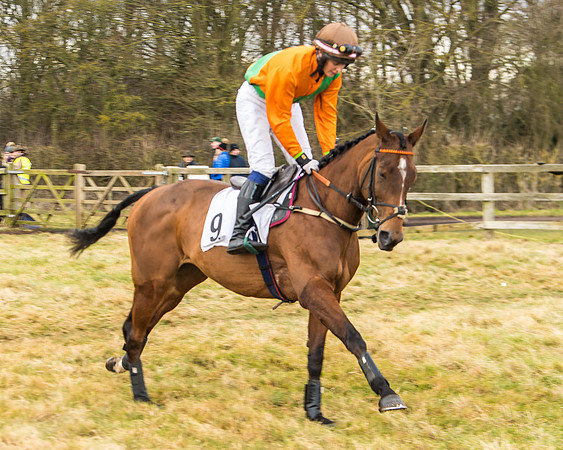 Cambridgeshire Hunt with Enfield Chace
