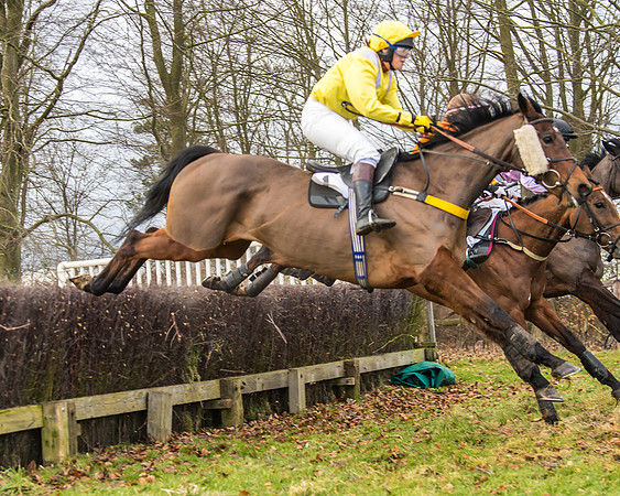 Cambridgeshire Hunt with Enfield Chace