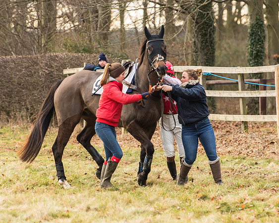 Cambridgeshire Hunt with Enfield Chace