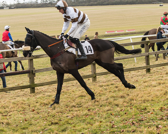 Cambridgeshire Hunt with Enfield Chace