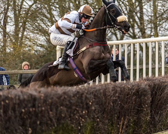 Cambridgeshire Hunt with Enfield Chace