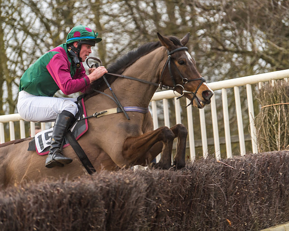 Cambridgeshire Hunt with Enfield Chace
