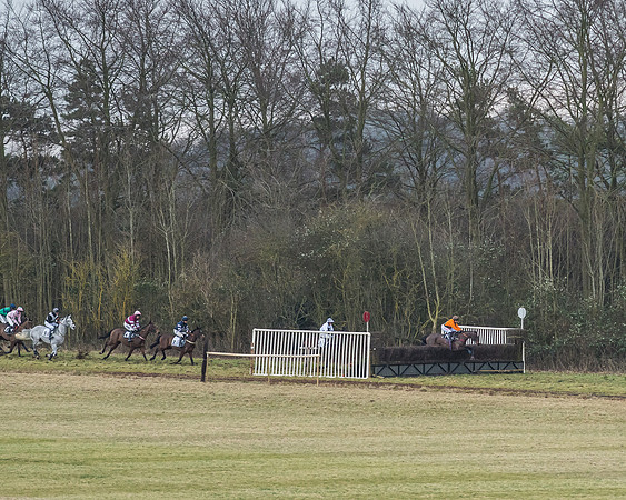 Cambridgeshire Hunt with Enfield Chace