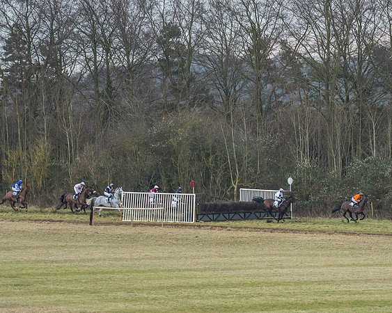 Cambridgeshire Hunt with Enfield Chace