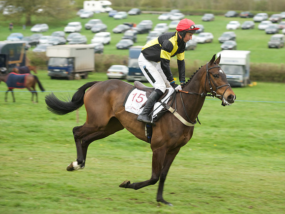 Race 6 - Maiden  21