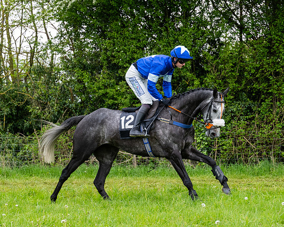 Race 3 - Young Horse Maiden (18 of 216)