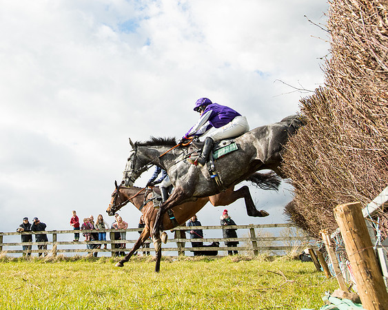 Race 5 - Restricted  (37 of 118)