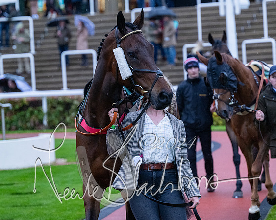 Race 7 - Glos Hussars (10 of 220)