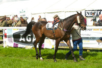Race 2 - Open Maiden  5