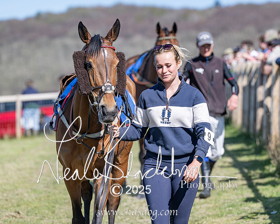 Race 5 - The restricted (12 of 113)