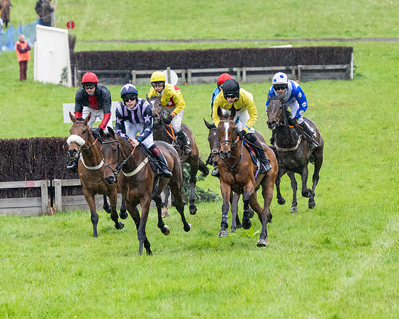 Race 8 - Bumper Div 2 (15 of 84)