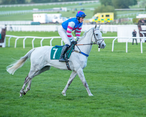 Race 7 - Glos Hussars  (71 of 245)