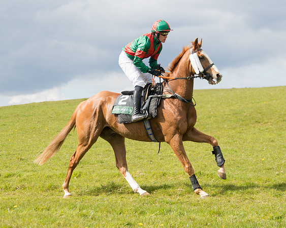 Race 3 - Owner Trainer conditions (11 of 132)