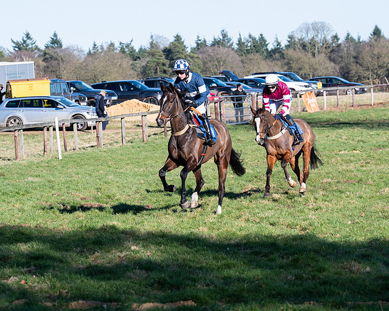 Race 5 - Maiden (11 of 123)