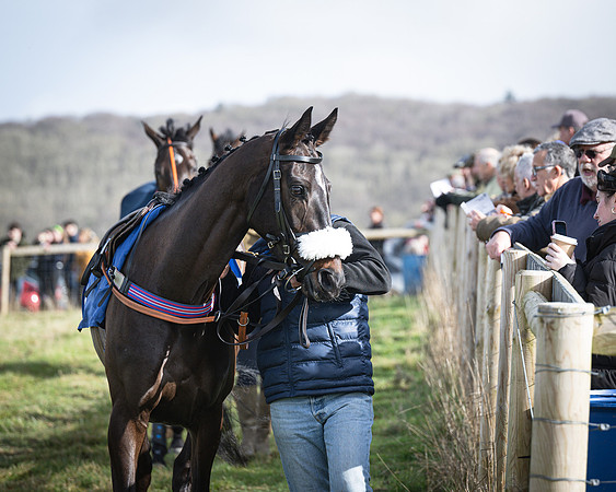 Race 1 - Four and Five year Old Maiden (18 of 137)