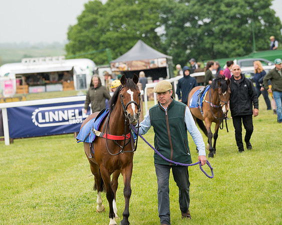 Pony Race 1  (8 of 125)