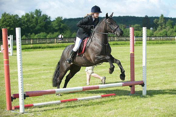 SOHS PC Summer Show at BCA 17th June 2012