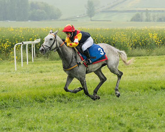 Pony Race 2 (59 of 113)
