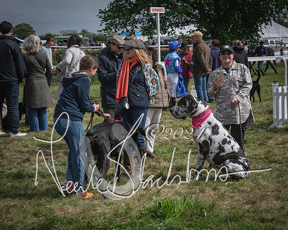 Pony Race 2 (83 of 84)-
