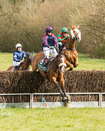Race 3 - Owner Trainer conditions (30 of 132)