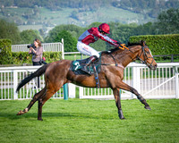 Race 3 - Junior Jumpers Open Hiunter Chase 3m1f 56y