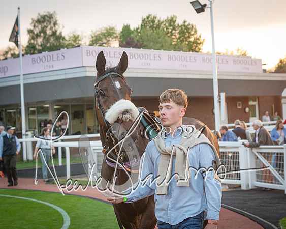 Race - 7 The Royal Gloucester Hussars Open Hunter's steeplechase 2m4f 127y (15 of 210)