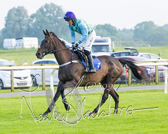 Race 5 - Peter Wright Handicap (28 of 117)